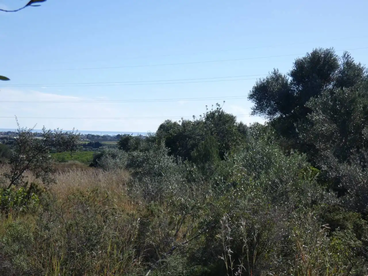 Rural land for sale in Poligono 14, PARCELA 239