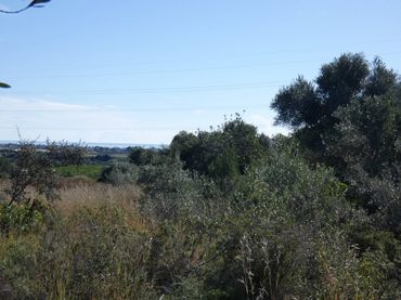Terreno rustico in vendita a Poligono 14, PARCELA 239