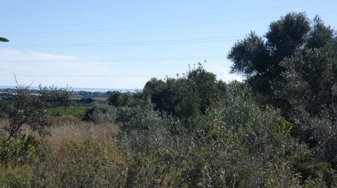 Finca rústica en venta