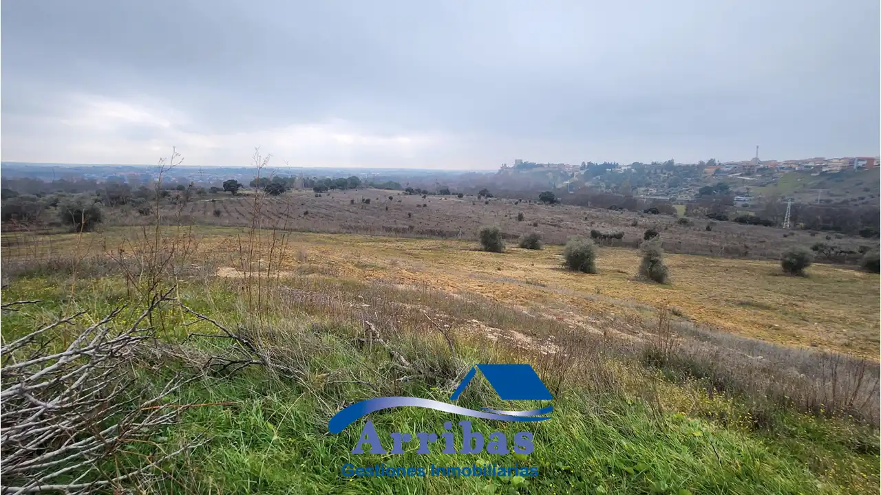 Country homes for sale in Escalona
