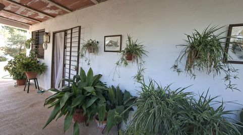 Foto 2 de Casa o chalet de alquiler en N/a, -1, Umbrete, Sevilla