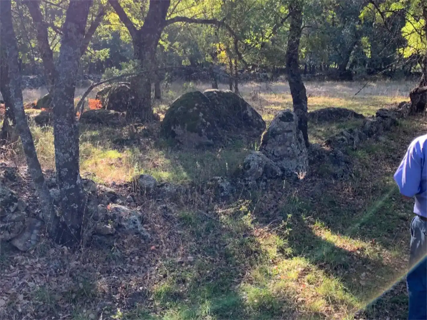 Finca rústica en venta en La Adrada 