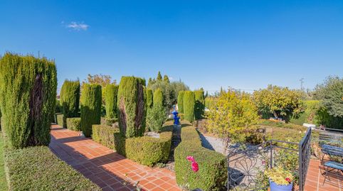 Foto 3 de Casa o chalet en venta en Gójar, Granada