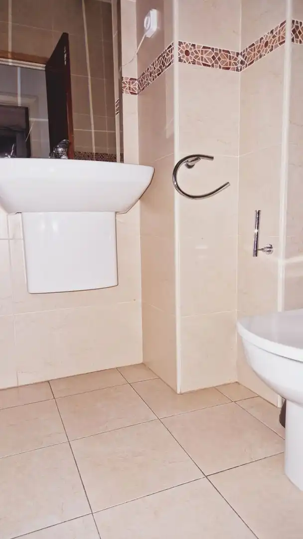 Piso con terraza en venta en MENENDEZ PELAYO, imagen 32