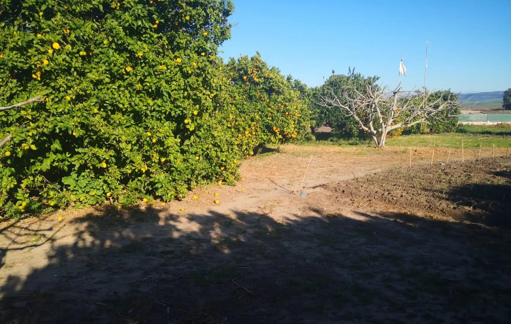 Terreno rustico in vendita a Barbate ciudad, imagen 3