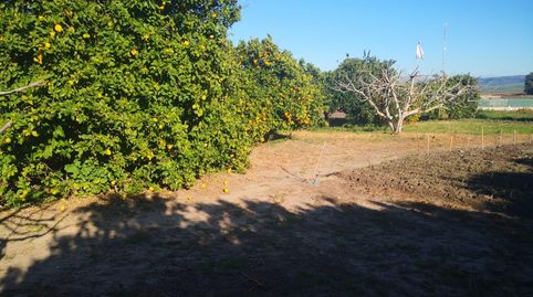 Parcela Rustica Segregada en la Rivera de la Oliva, imatge 3