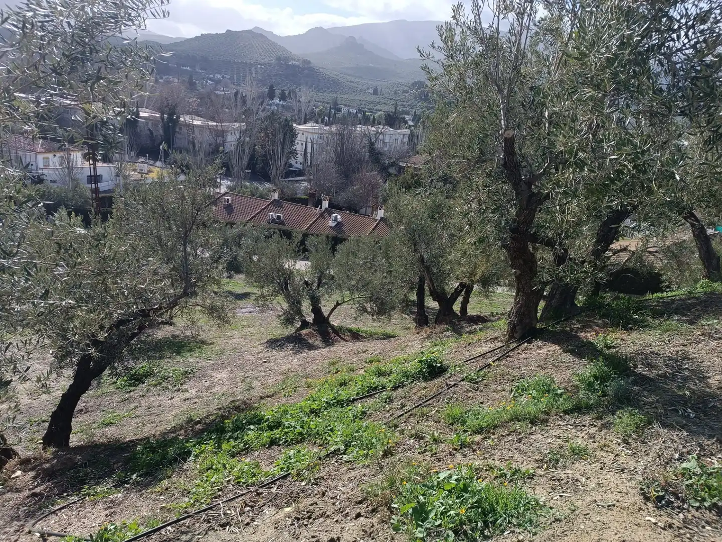 Casa rústica amb jardí en venda a Puente Jontoya - Puente de la Sierra - El Arroyo, imagen 15