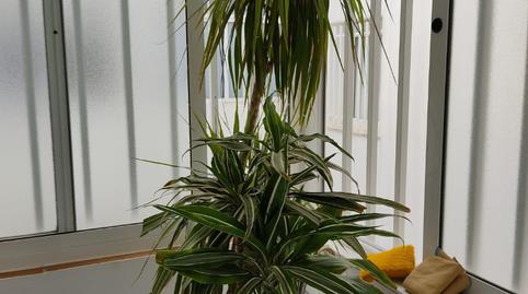 Foto 4 de Piso en venta en Avenida Bajo de Guía, 18, Centro - Calzada - Cabo Noval, Cádiz