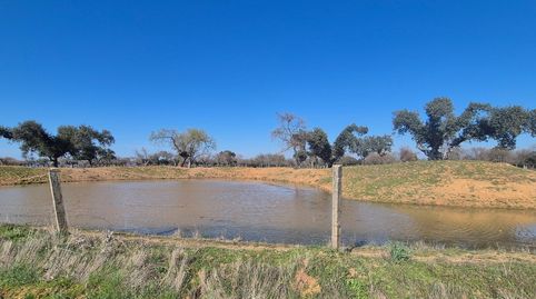 Foto 4 von Grundstücke zum Verkauf in Carrascal del Obispo, Salamanca