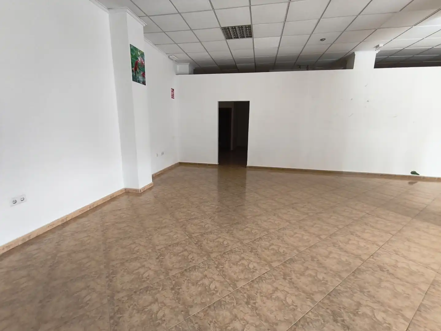 Local de alquiler en Torrevieja