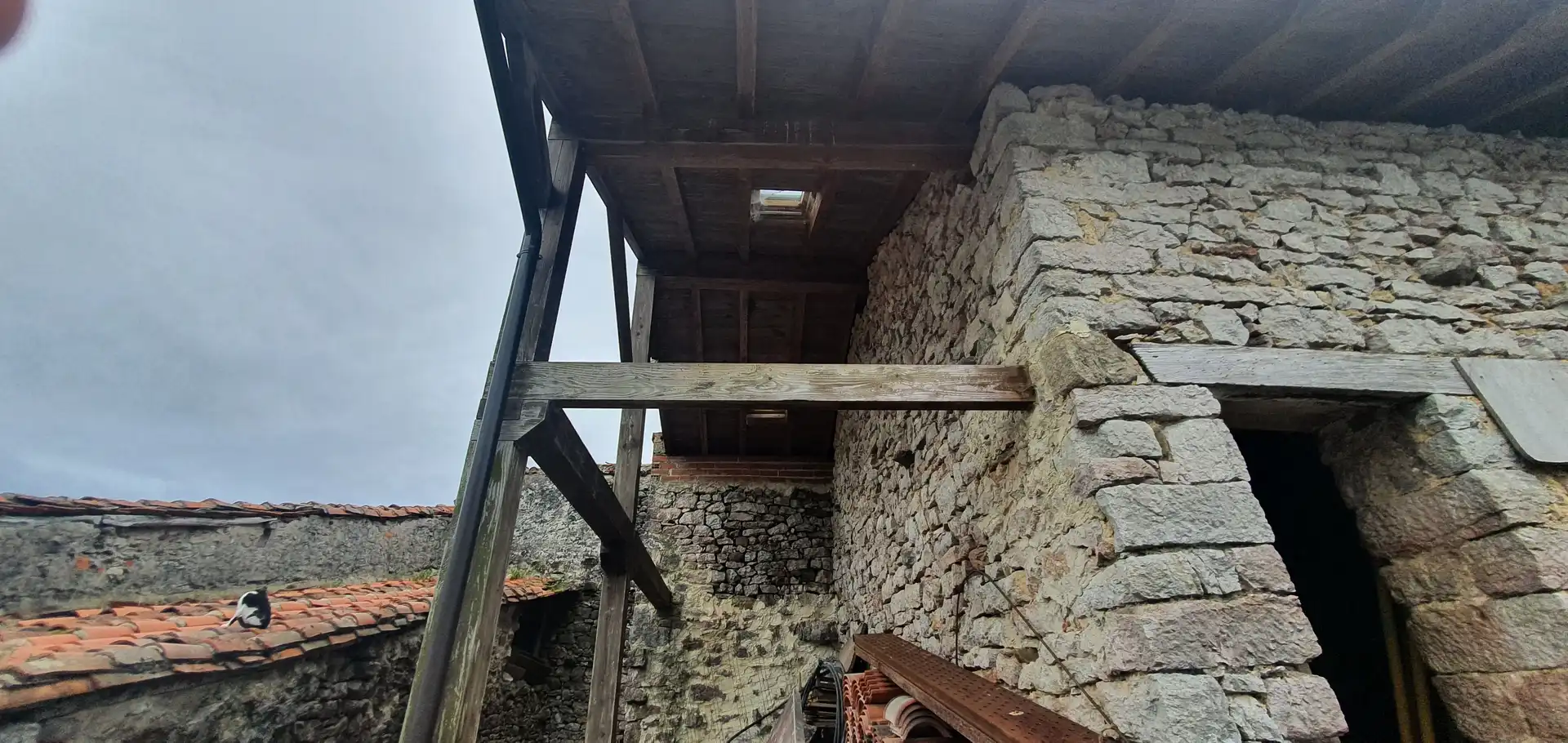 Vista exterior de Piso en venta en Peñamellera Baja con Terraza