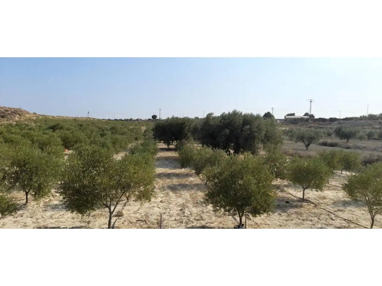 Rural land for sale in Calle MAYOR, imagen 23