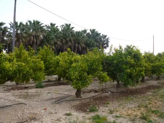 Casa o xalet en venda en Tortosa amb Aire condicionat, Calefacció i Jardí privat