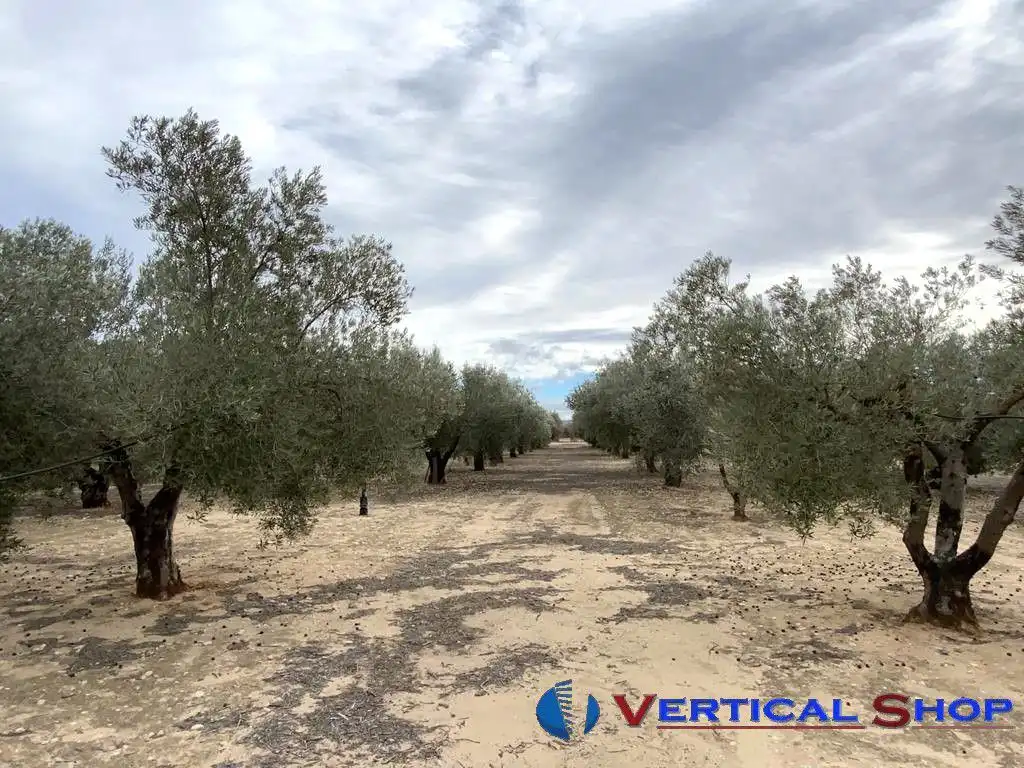 Casa o chalet en venta en Caudete