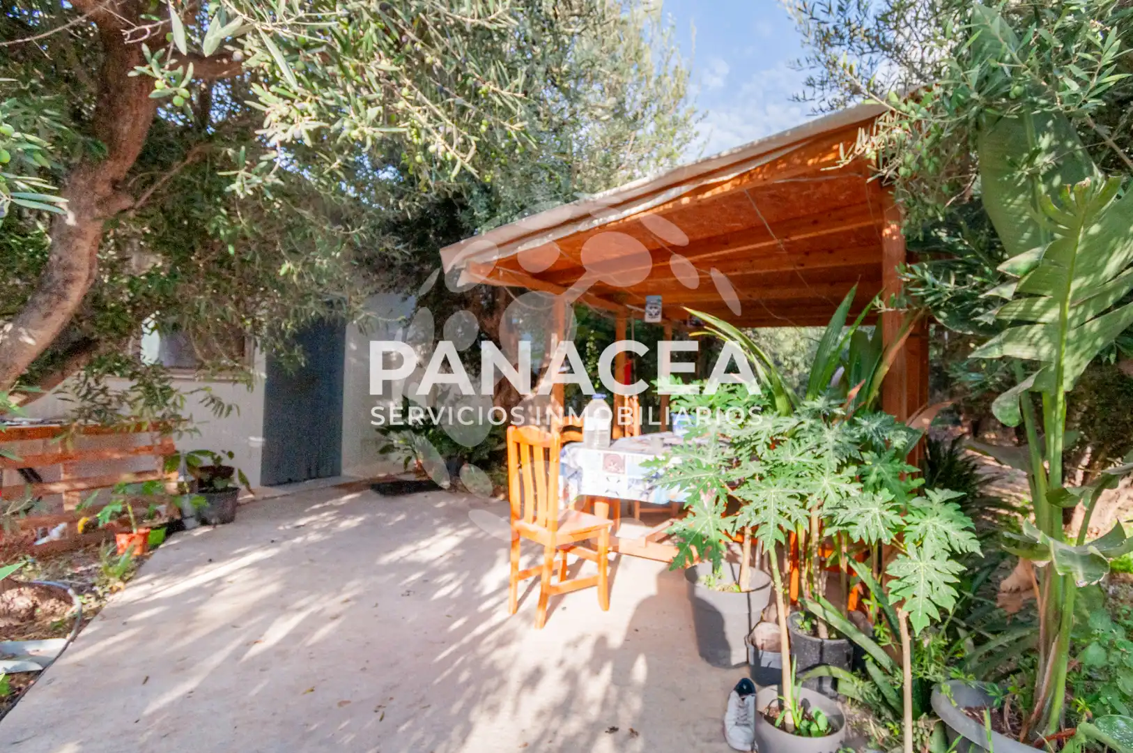 Finca rústica en venta en Vícar Pueblo
