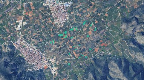 Solvia Inmobiliaria  Suelo Rústico Simat de la Valldigna