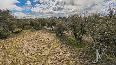 Foto 2 de Residencial en venda a Lugar Urbanizacion las Encinas, Monteclaro, Madrid