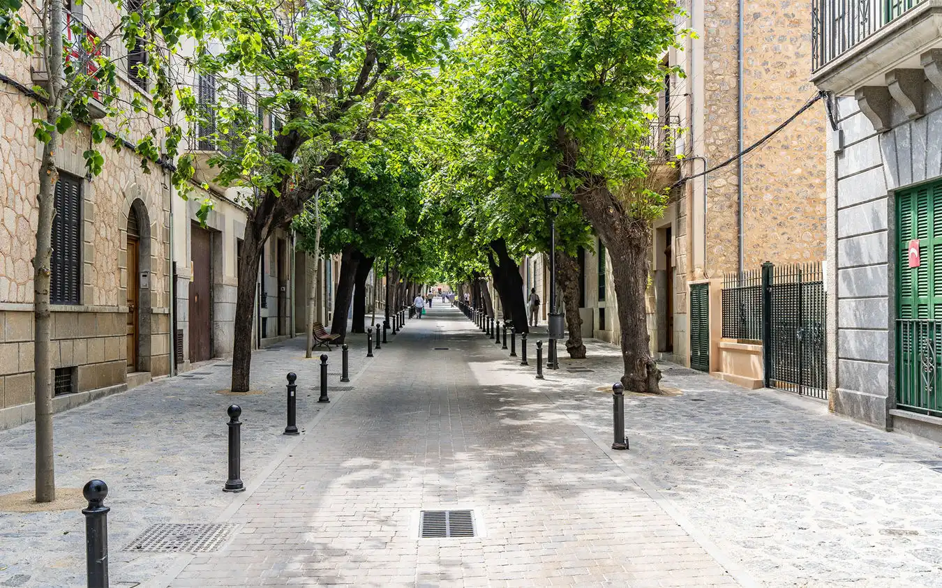 Maison à vendre à Sóller, imagen 23