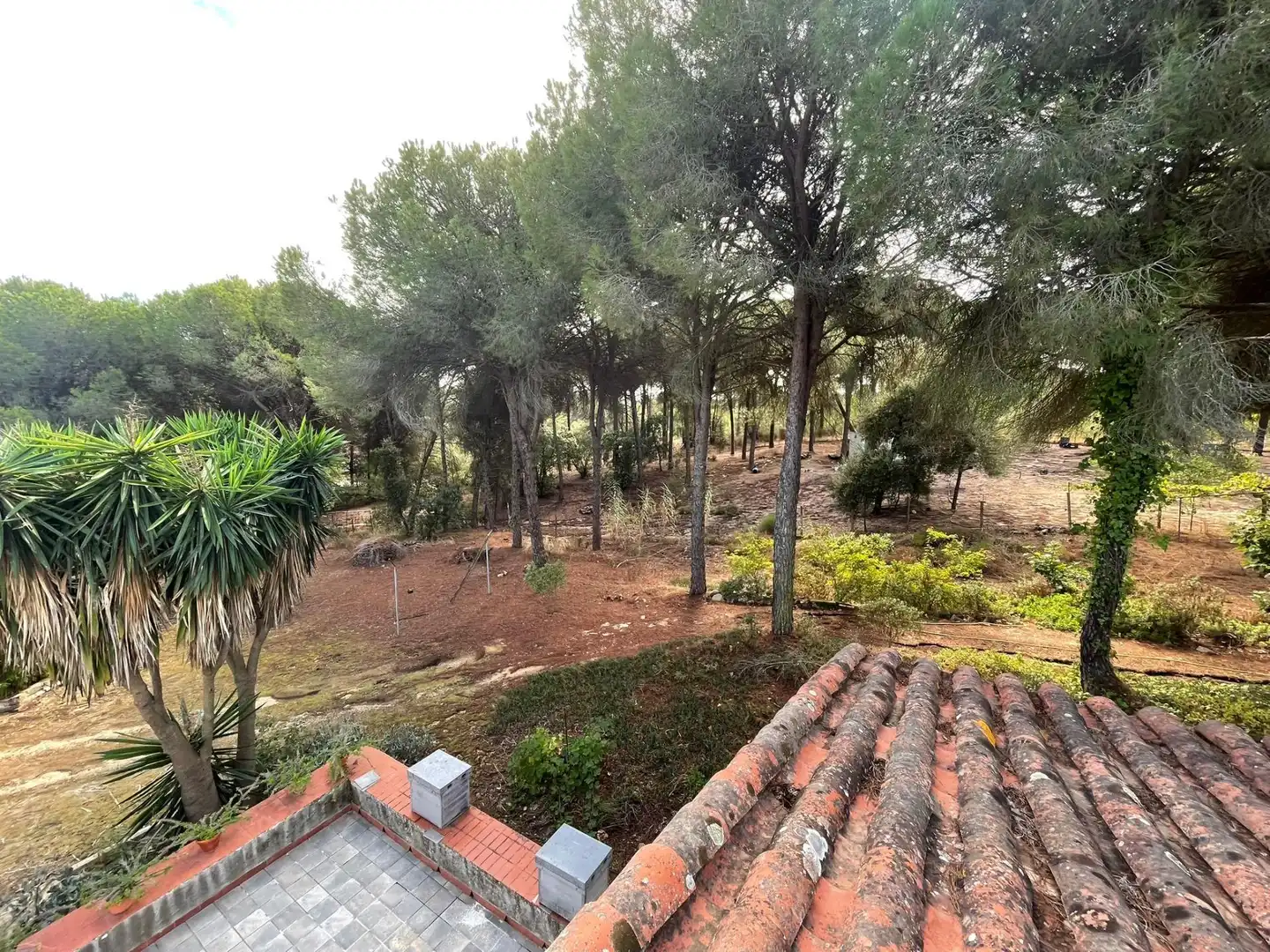 Casa en venda a Beas, imagen 64