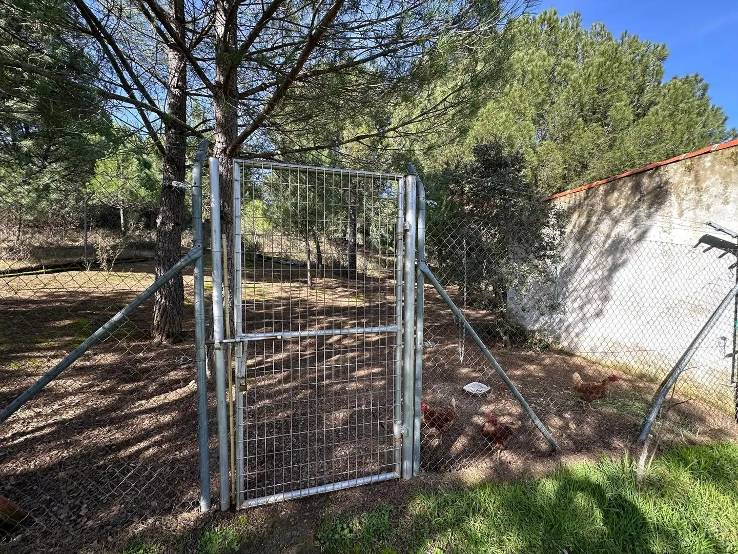 Jardín de Casa o chalet en venta en Villaviciosa de Córdoba con Calefacción, Jardín privado y Terraza