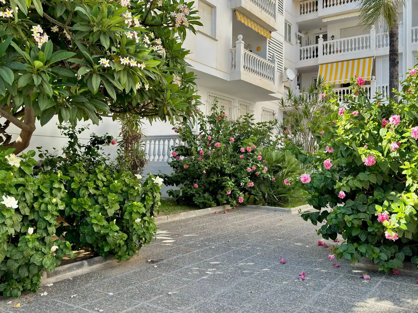 Appartement compact avec ascenseur à vendre à bikini 14, imagen 3