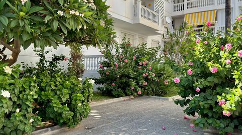 726  Amplio apartamento con terraza a 100 m de Playa San Cristóbal  Almuñécar, imagen 3