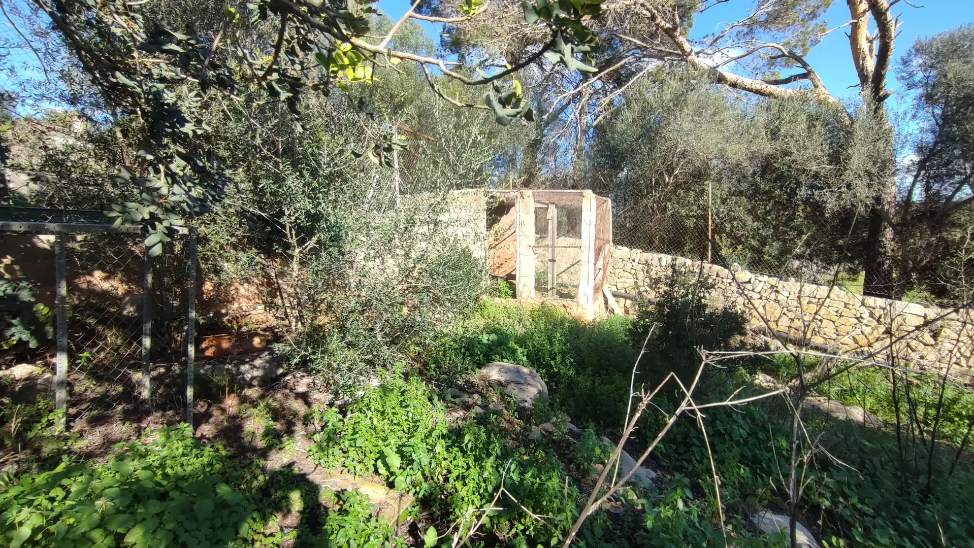 Rural land for sale in Vial Camino 316, imagen 13