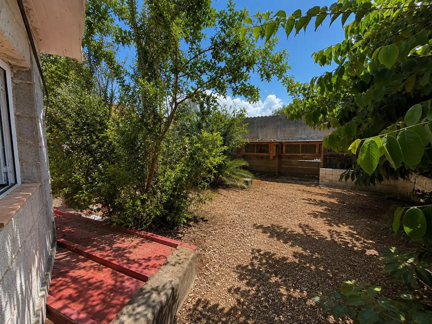 Jardí de Casa o xalet en venda en  Palma de Mallorca amb Jardí privat i Moblat