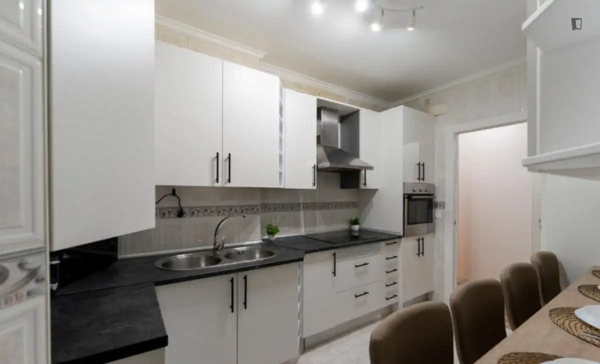 Kitchen of Apartments for share in Madrid  with Furnished, Oven and Washing machine