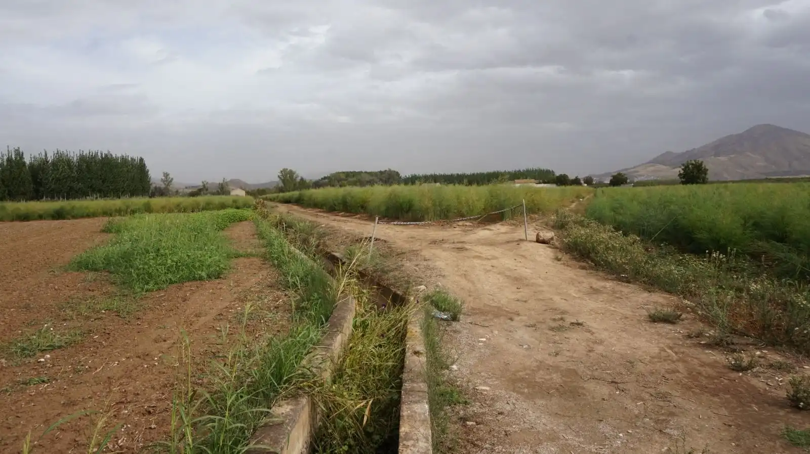 Rustikales Grundstück zum Verkauf in Pinos Puente, imagen 12