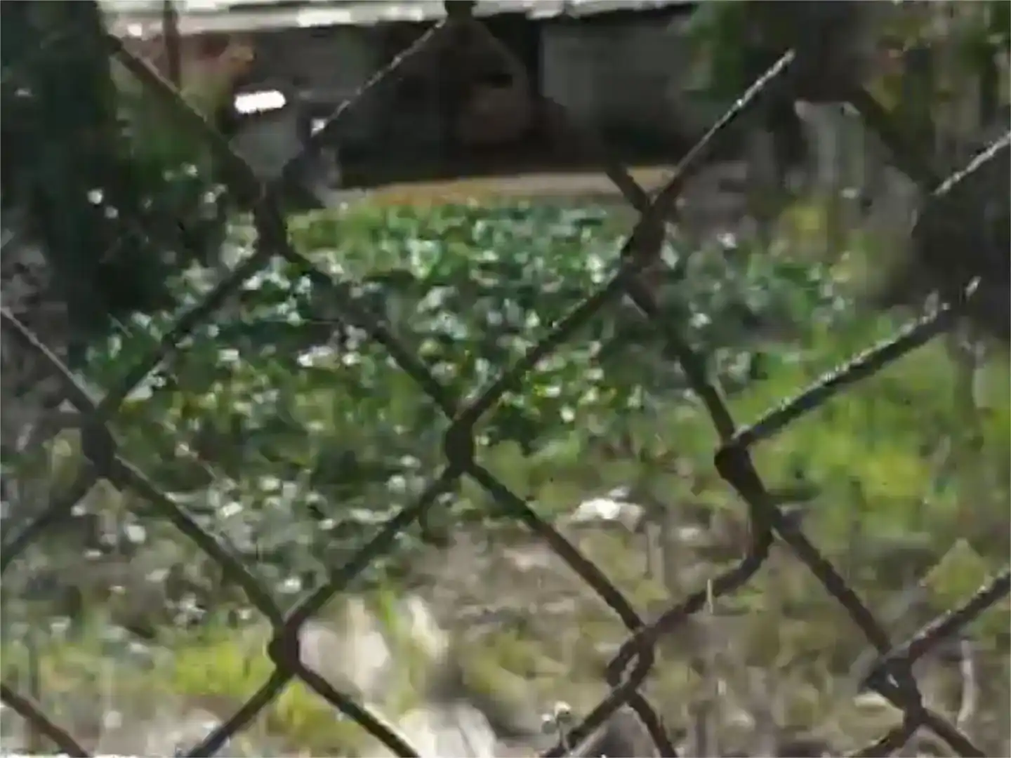 Vista exterior de Pis en venda en Ponferrada amb Jardí privat