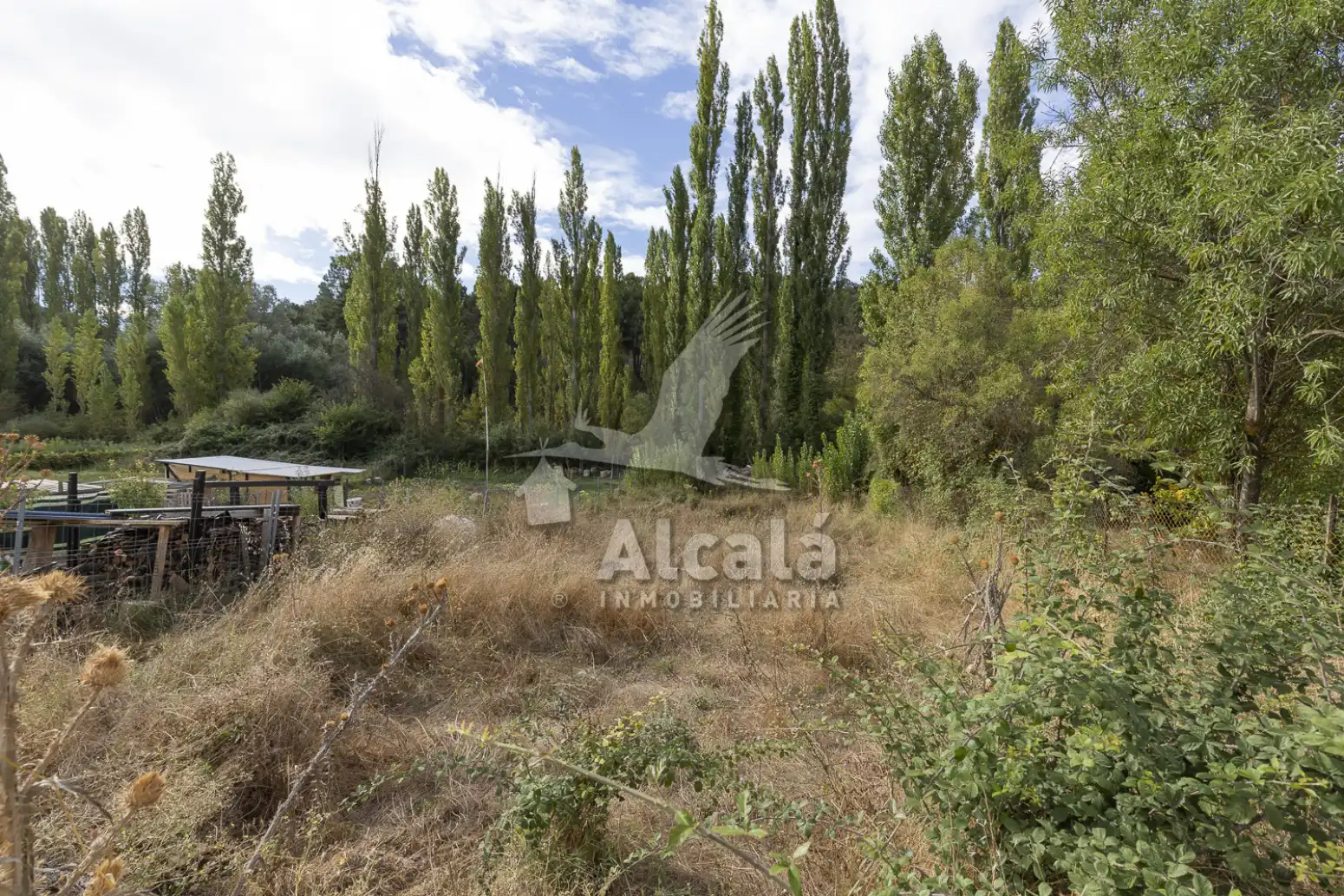 Terreno en venta en Hueva