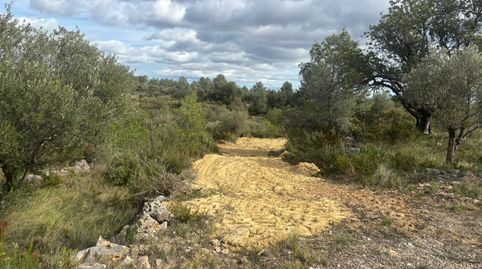 Foto 3 de Terreno en venta en Barrio Eras, 1, Chella, Valencia