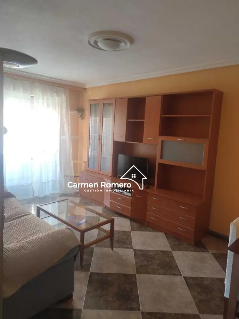 Sala de estar de Piso de alquiler en Salamanca con Calefacción