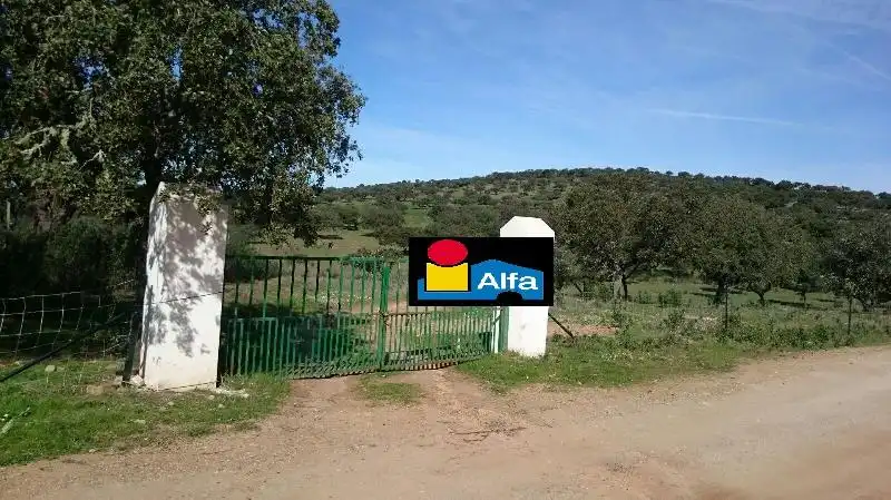 Land for sale in Salorino