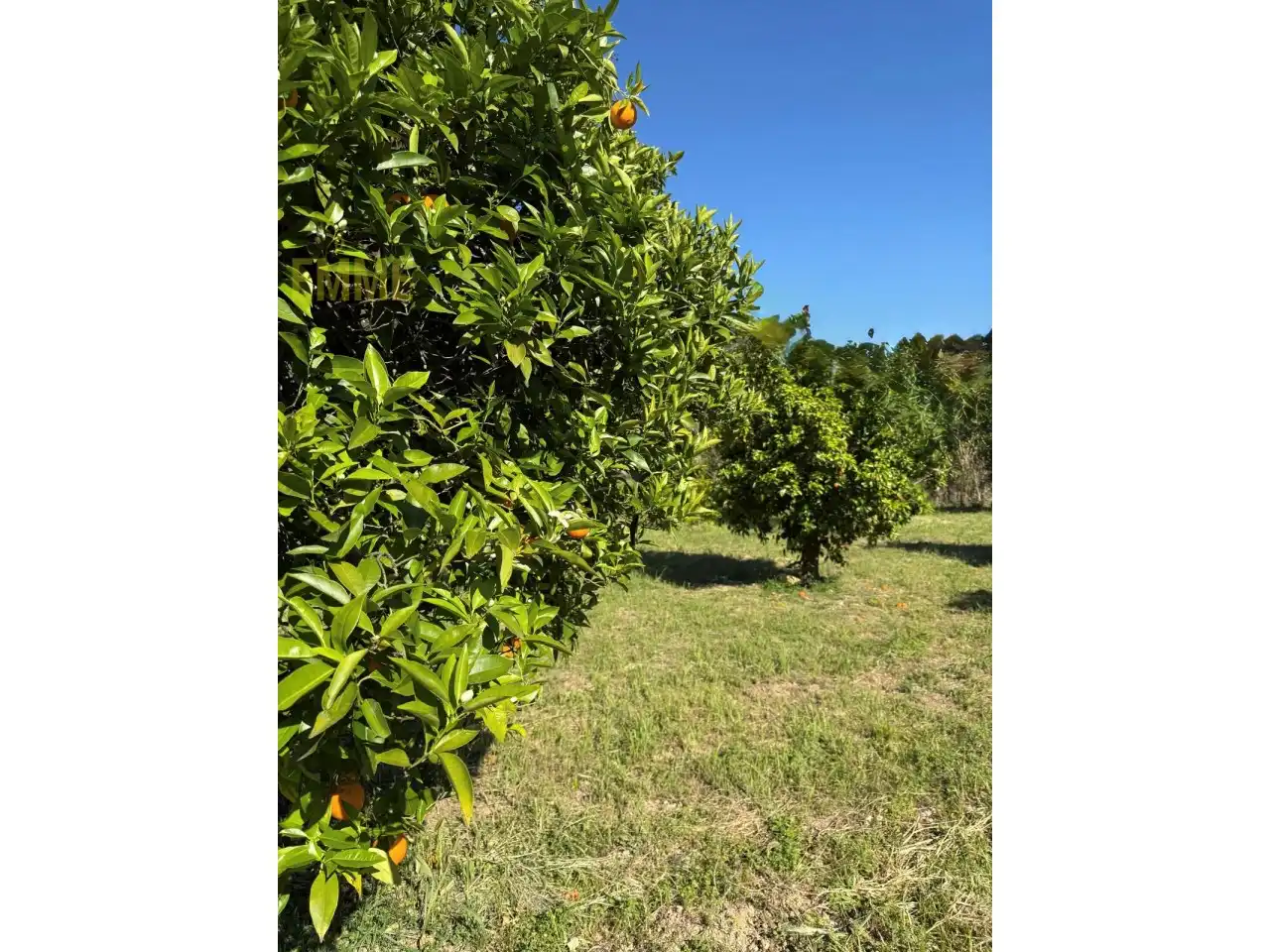 Casa o xalet en venda en Jimera de Líbar amb Jardí privat i Terrassa