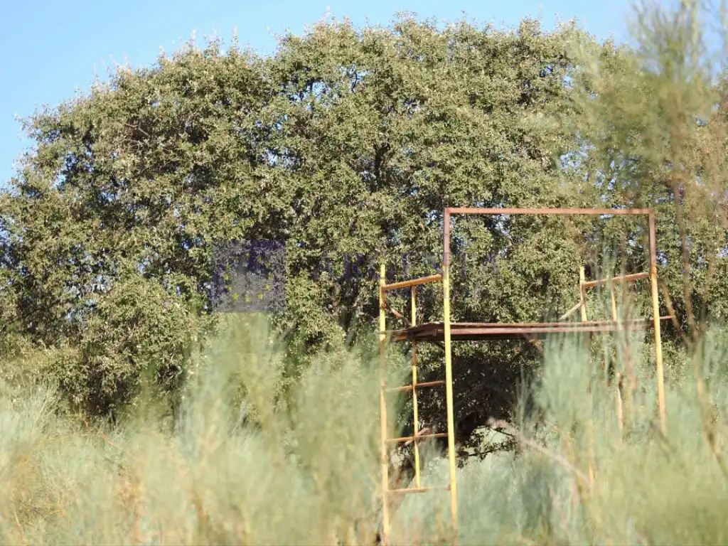 Casa o xalet en venda a Mejostilla