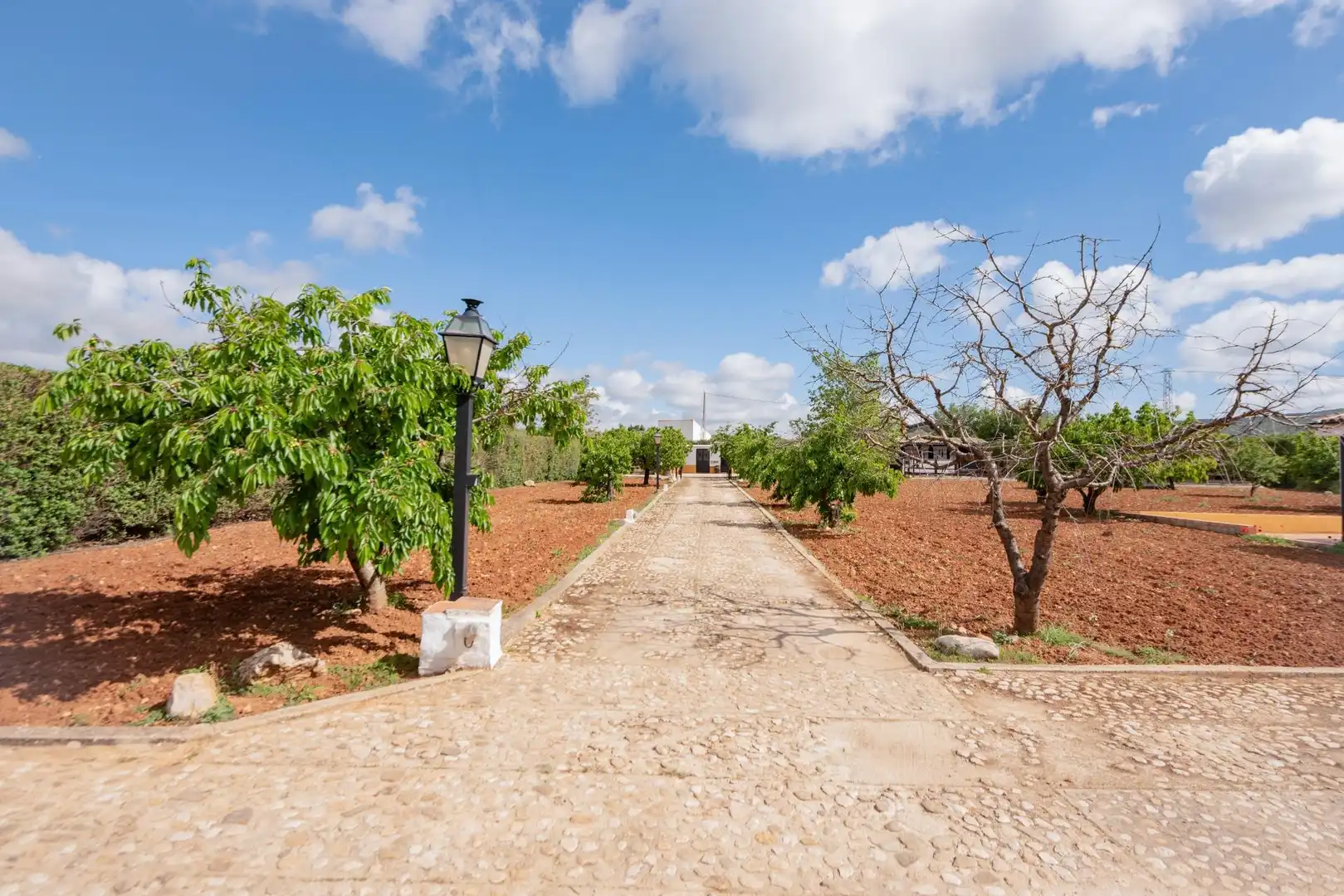 House with garden for sale in Villanueva del Rosario, imagen 10