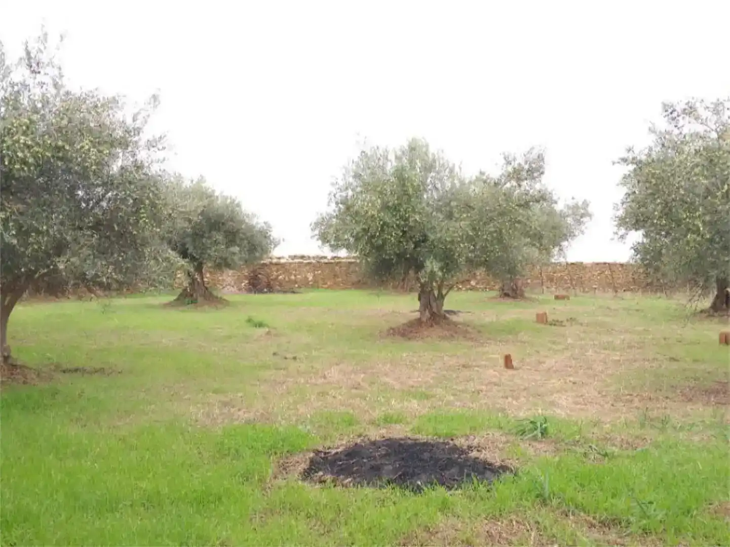Piso en venta en Aldeanueva de San Bartolomé