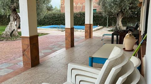 Photo 3 of Houses for sale in Pedanías Norte, Utrera