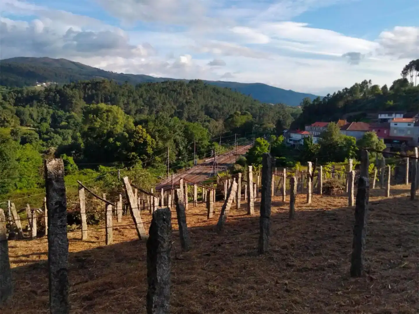 Vista exterior de Casa o xalet en venda en Arbo