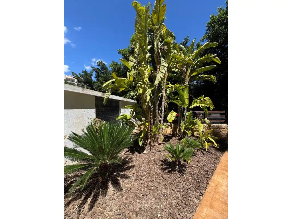 Garden of Flat for rent in Villajoyosa / La Vila Joiosa