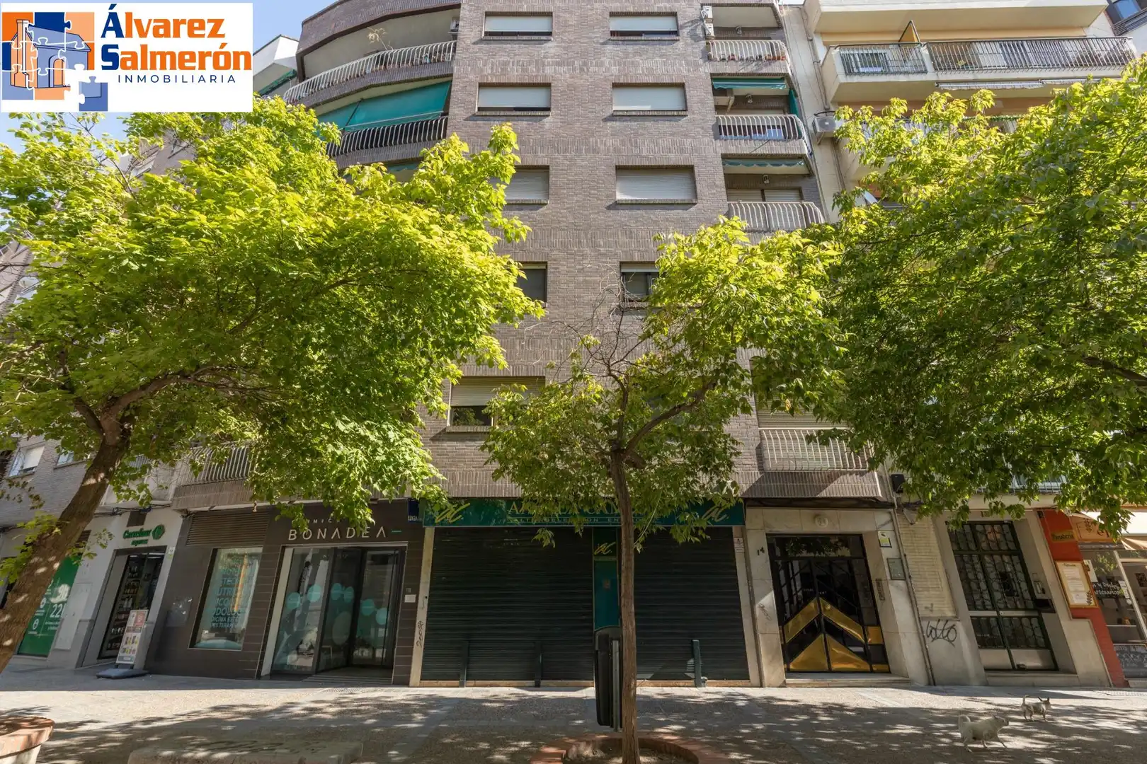 Flat with terrace for sale in NUEVA DE SAN ANTON, imagen 48