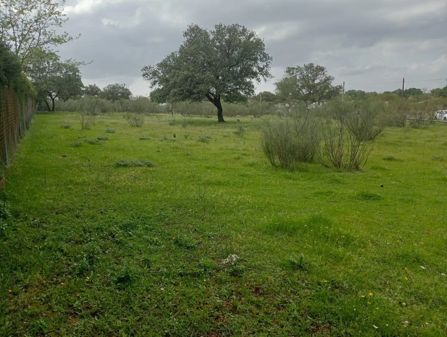 Grundstücke und Bauplätze zum Verkauf in Castilblanco de los Arroyos, imagen 3