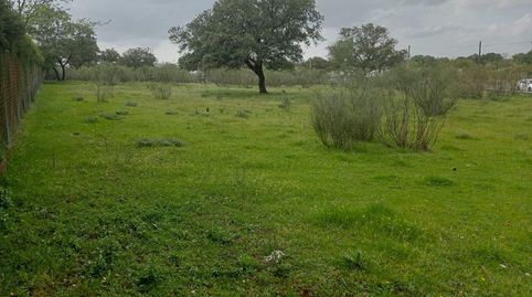Magnífica parcela urbana en la Urb. Sierra Norte  Castilblanco de los Arroyos!, imatge 3