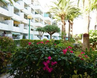 Garden of Apartment for sale in San Bartolomé de Tirajana  with Private garden and Terrace