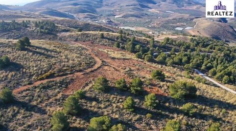 Gran finca rústica en venta en Alcolea
