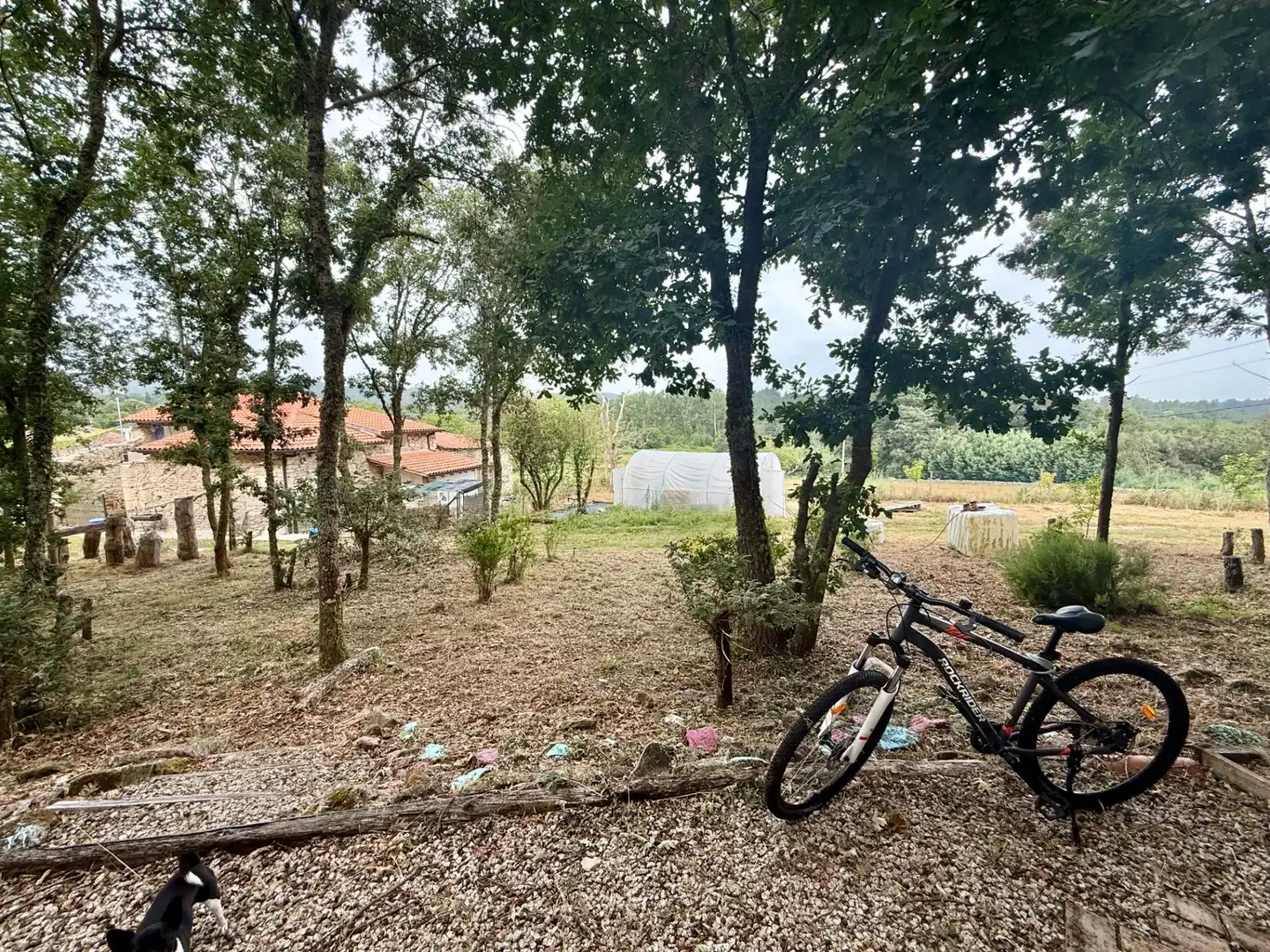 Casa o chalet en venta en Sober con Jardín privado, Piscina y Amueblado
