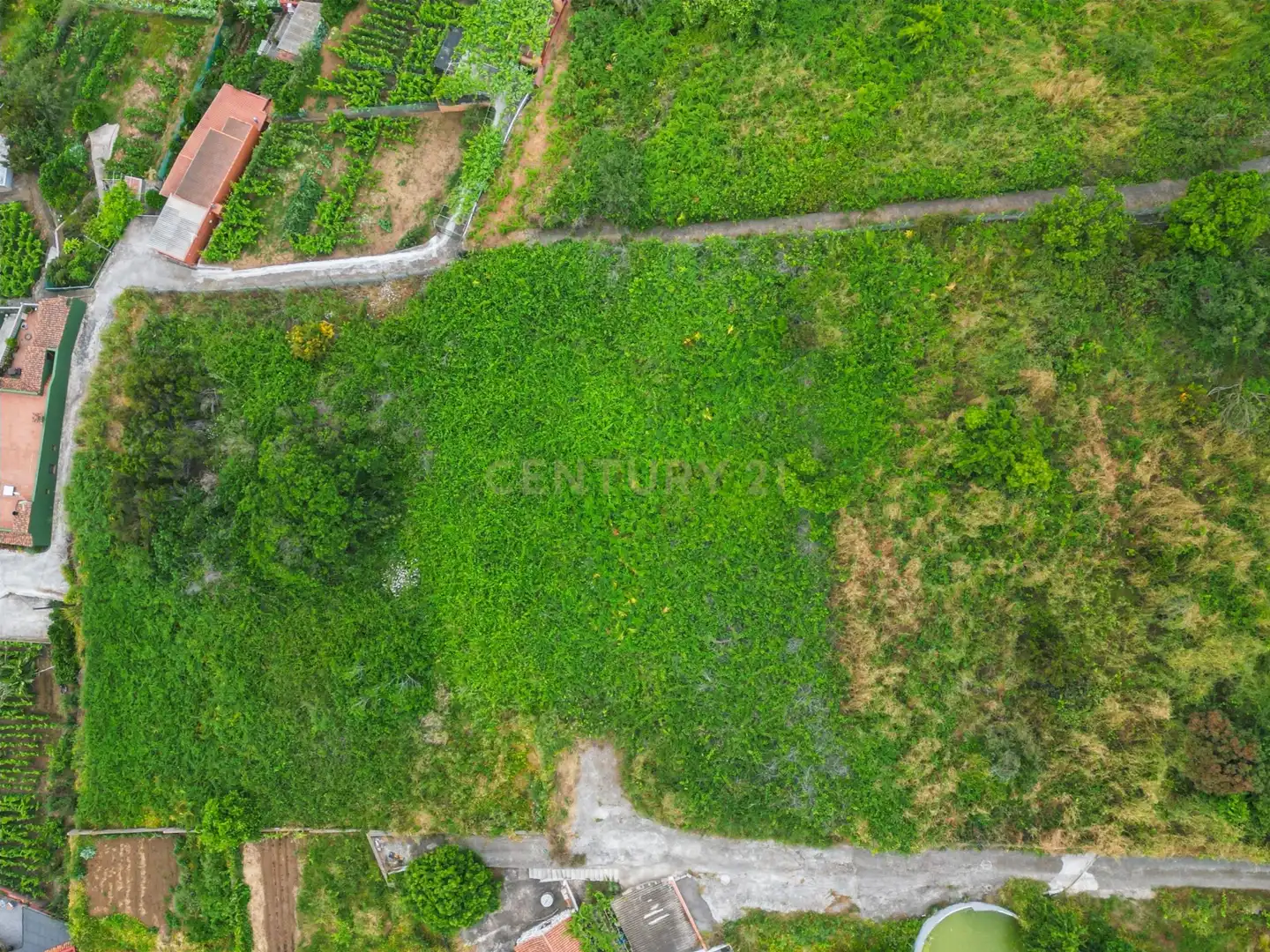 Terreno rustico in vendita a Calle Alzados Guanches, La Orotava, Spain, imagen 10
