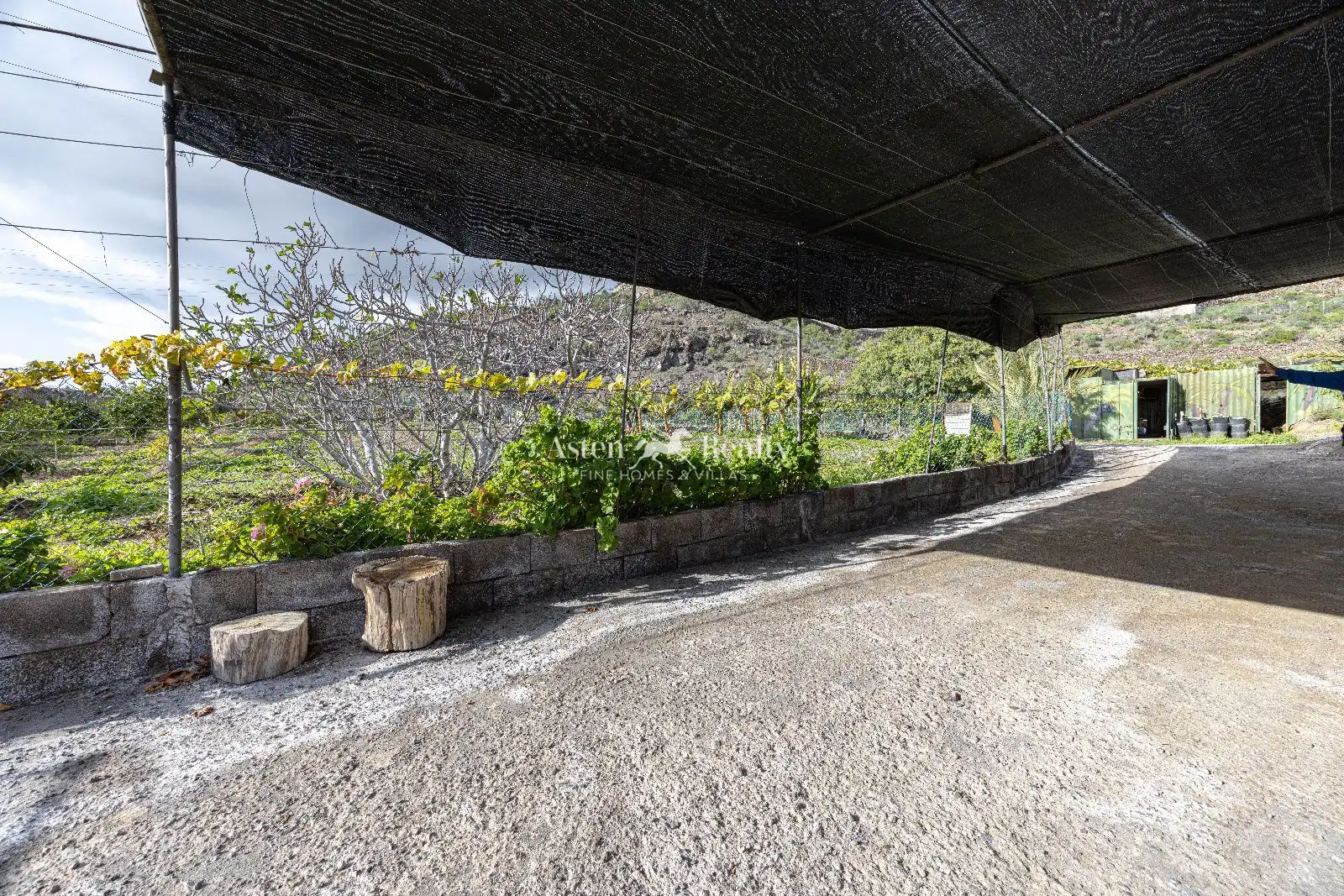 Garden of Houses for sale in Guía de Isora  with Terrace, Storage room and Swimming Pool